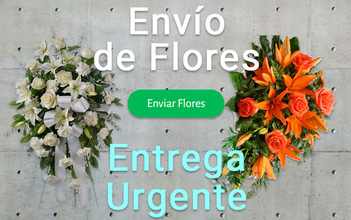 Envio de flores urgente a Tanatorio Toledo
